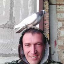 Руслан, 51 год, хочет пообщаться, в г.Ташкент