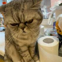 Снежинка, в Омске