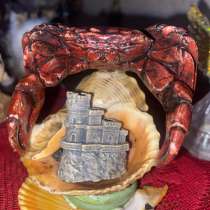 Ракушки, в Москве