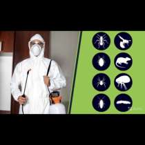 Дезинсекция тараканов клопов, в Москве