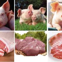 Продам свежее мясо свинины. Доставка от полутуши до туши, в Новосибирске