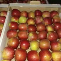 Продаю яблоки оптом, в Бахчисарае