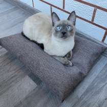 Подушка лежанка Barbaris для кошек Французский серый, в Хабаровске
