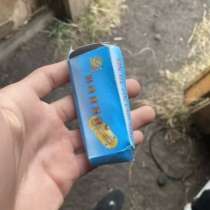 Шпингалет, в Омске