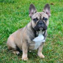 Подрощенная девочка, в Москве