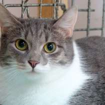 Раффаэлка заставит вас забыть об одиночестве, в Москве