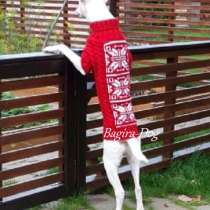 Комбинезоны и свитера для Ксоло, Перуанских голых собак, в Москве