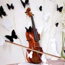 Объемные 3D бабочки для декора, в Санкт-Петербурге
