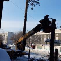 Спил деревьев'вывоз, в Новосибирске