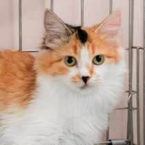 Ласковая Фруттис мечтает о встрече с семьей, в Москве