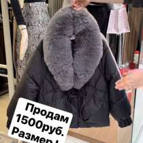 Куртка, в Благовещенске