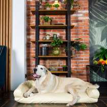 Лежанка-диван для собак, в Москве