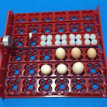 Лотки с переворотом для инкубатора на 36-144 яиц универсальн, в Астрахани