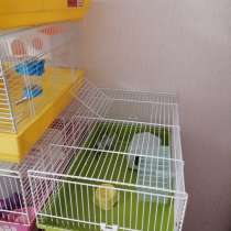 Клетки для грызунов, в Москве