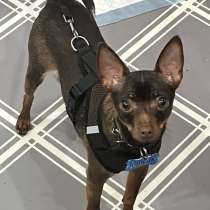 Продам, в Орске