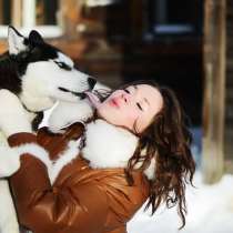 Щеночки черно-белые. голубоглазые Хаски, в Санкт-Петербурге