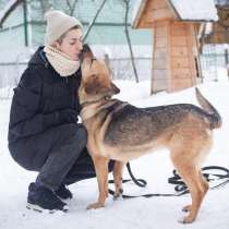 Собака Люся в добрые руки, в Москве