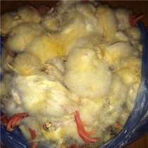 Куплю замороженных цыплят, в Армавире