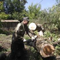 Расчистка участков,спил деревьев,демонтаж., в Смоленске