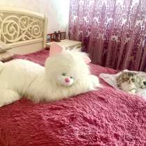 Отличный подарок, в Анапе