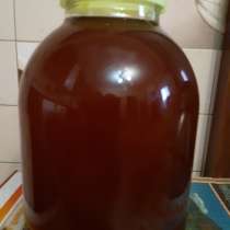 Продам мед разнотравье с личной пасеки 1000 рублей 3 литра, в Россоши