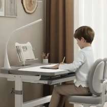 Растущая парта+стул, в Иркутске