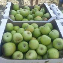 Яблоко оптоп, в Краснодаре