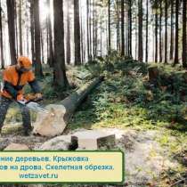 Удаление деревьев и расчистка участка в Жуковском, в Жуковском