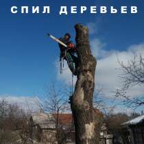 Спил Деревьев любой сложности!, в г.Луганск