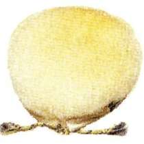 Насадка полировальная Metabo 623266000, в г.Тирасполь