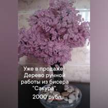 Цветок сакура, в Ростове-на-Дону