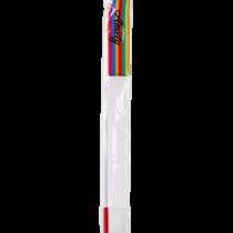 Лента для художественной гимнастики AGR-201 6м, с палочкой 56 см, радуга, в Сочи