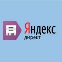 Настройка рекламных компаний в Яндекс Директ. Поиск + РСЯ, в Костроме