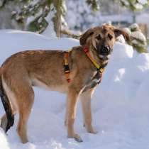 Нежная и трепетная девочка Дина очень ждет свою маму, в Москве