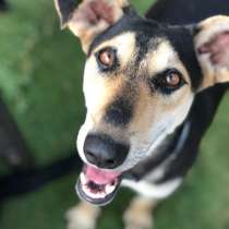 Гуфи! Забрать Нельзя Оставить!!!, в Москве