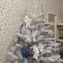 Елка белая, в Москве