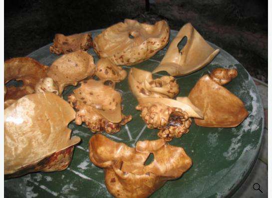 Березовый Кап в Москве