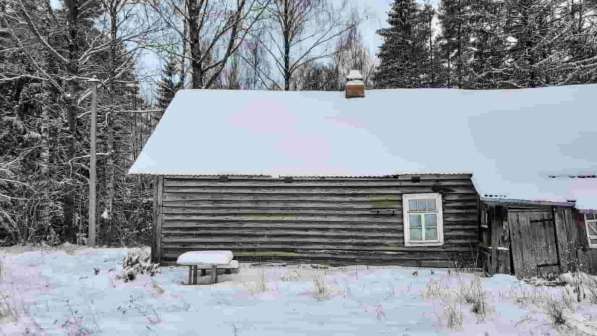 Дом на эстонском хуторе в хвойном лесу под Старым Изборском в Пскове фото 12