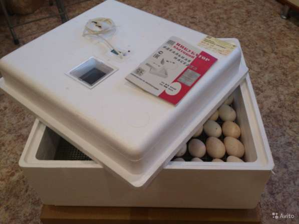 Инкубатор Идеальная Наседка-36,63,104 яйца, автопреворот