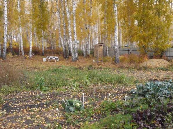 Продам садовый участок в Челябинске фото 4