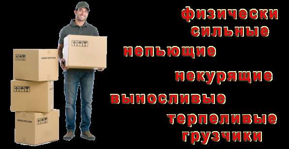 Грузчики. Грузоперевозки – ТК «РазГруз» в Джанкое