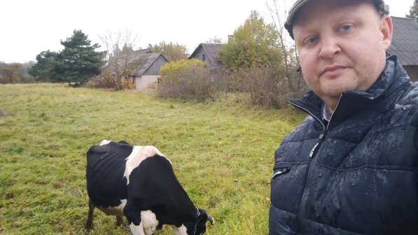 Павел, 43 года, хочет познакомиться – Путешествие в Латвию в 