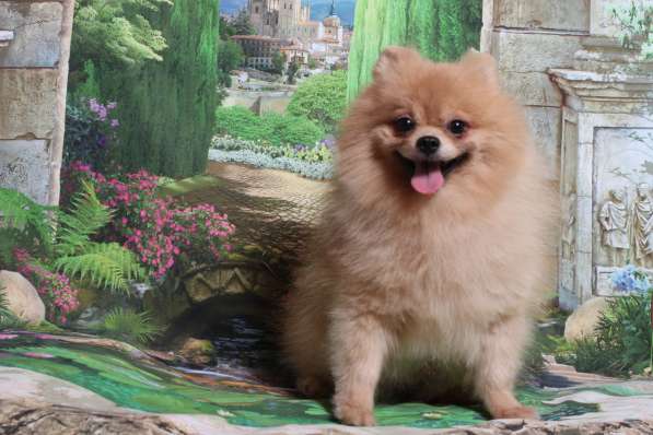 Малыш на вязку