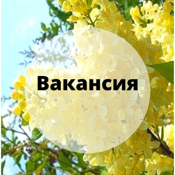 Помощница