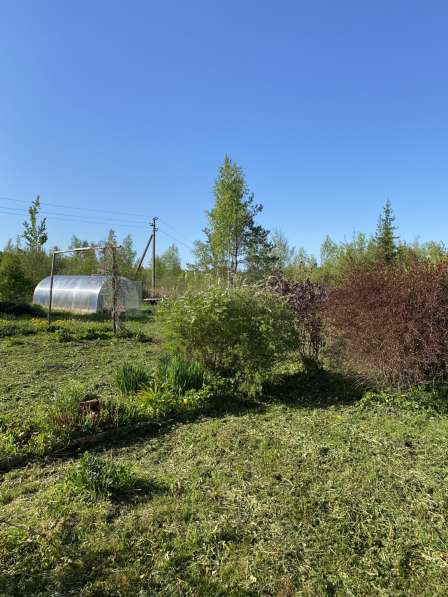 Продаю земельный участок с садовым домом в Санкт-Петербурге фото 3