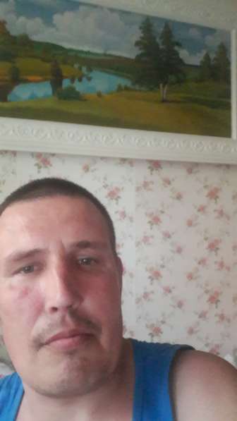 Николай, 52 года, хочет пообщаться в Москве фото 11