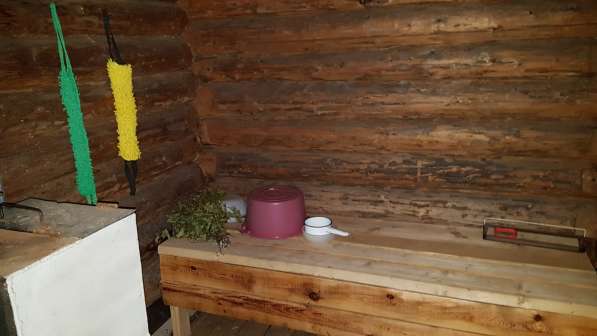 Продам садоогород в Ижевске фото 15