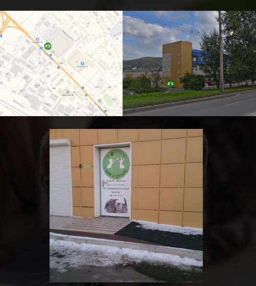 Гостиница для животных в Красноярске