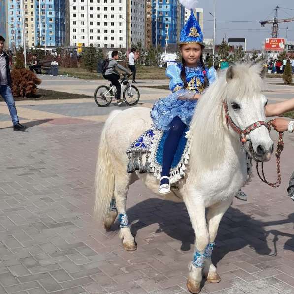 Пони в Алматы