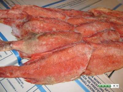 Свежемороженая рыба сухой заморозки. в Костроме фото 7
